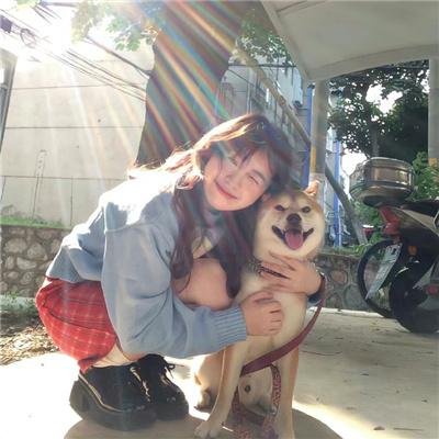 金装律师2(日版)