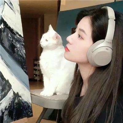 休想行刺本王小姐